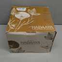 hadaaya 7.5" Round Ceramic Teacup Shape Planter Pot with Saucer for Succulents Orchids Herbs Cactus Indoor Houseplants Flowers for Home Garden and Event Decor  Orange Polka Dot Planter