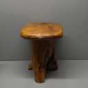 Cedar Root Natural Wood Side Table, Small Side Table, Unique Design Live Edge Wood Stool, 13.5"x12"x14"H, Rustic Mushroom Stool for Bedroom Living Room Patio Accent Outdoor Garden
