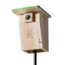 3/4 Inch Thick Cedar Bird House with Metal Predator Guard | Squirrel Proof Nesting Box for Easy Cleaning | Outdoor Wooden Bluebird House for Wild Bird Watching, Swallow, Wren, Chickadee