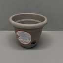 Bloem Ariana Self Watering Planter: 12" - Pebble Stone - Durable Resin Pot, for Indoor and Outdoor Use, Self Watering Disk Included, Gardening, 3 Gallon Capacity
