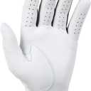 Titleist Players Flex Men's Golf Glove (White)