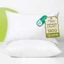 Ashler 12x20 Throw Pillow Inserts, Set of 2