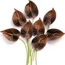 Ling's moment Anthurium Artificial Flowers, 8pcs Faux Anthurium Stems, PU Foam Greenery Plant for DIY Wedding Bouquets Centerpieces Arrangements Bridal Shower Party Home Decorations, Brown