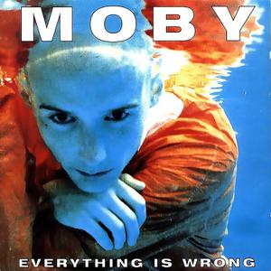 Everything Is Wrong, Vinyl