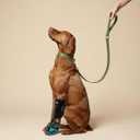 Labra Dog Canine Knuckling Corrector Toe Dragging Brace Wrap for Front or Back Rear Paw Leg L/XL