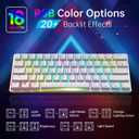 60% Mechanical Gaming Keyboard - 61 Keys Red Switch Quiet Office Computer Keyboard - Multi Color RGB Rainbow Led Backlit - Programmable for PC/Windows/Mac/Gamer - USB Wired - White