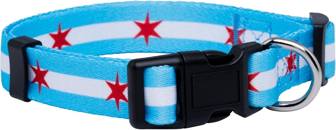 Native Pup Chicago Flag Dog Collar (Chicago Big Stars, Medium) (Medium (Pack of 1))