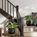 LE TAUCI Ceramic Planters, 12 Inch Pots for Plants, Indoor Plant Pots with Drainage Holes and Saucers, Modern Planters Fit Mid Century Plant Stand, Flower Pots for Indoor Plants, Black