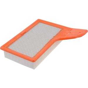 FRAM Extra Guard CA11958 Replacement Engine Air Filter for Select Ford Mustang Models, Provides Up to 12 Months or 12,000 Miles Filter Protection (One Size) FRAM Extra Guard CA11958 Replacement Engine Air Filter for Select Ford Mustang Models, Provides Up to 12 Months or 12,000 Miles Filter Protection (One Size)