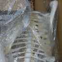 HADWYN Life Size Human Skeleton Model for Anatomy- Medical Human Skeleton Model with Nervous System 70.8 in with Rolling Stand for Medical Study and Display 3 Posters