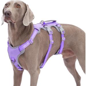 Huntboo Escape Proof Dog Harness, No Pull Reflective Harness with Lift Handle,Adjustable Pet Vest with Front and Back Leash Clips for Small Medium Large Dogs Walking Hiking Training(Lavender Purple,L) (Large(Pack of 1))