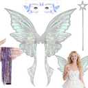 Fairy Wings Adult Women - Butterfly Wings Fairy Costume for Woman Girls, Fairy Accessories Halloween Cosplay (1a-silver)