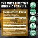 NUTRAGOGO NSF Certified Creatine Gummy - Creatine Monohydrate Gummies for Men & Women-5g of Creatine Monohydrate per Serving - Sugar Free,Vegan, Organe Electrolyte Chews, 135 Count, EXP: 05/2027