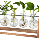 CFMOUR Plant Terrarium with Wooden Stand, Desktop Propagation Stations Glass Air Planter Metal Swivel Holder for Indoor Live Hydroponics Plants Office Home Garden Decor (5 Bulb Vase)