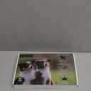 Light Up Dog Harness,Rechargeable LED Dog Harness for Small Medium Large Dogs,Reflective Lighted Safety Vest for Night Walking & Camping,Lightweight & Adjustable,Pink, Small