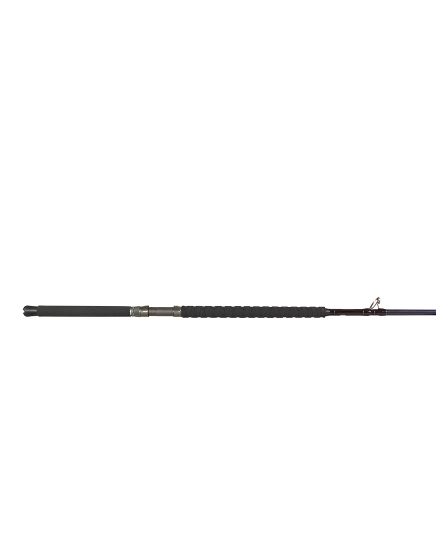Phenix Rods AXIS Casting / 8'2" / 1 PC / 12-30 LB LINE Rating/Moderate/Fast Taper Action/Essex SIC Guides/Fuji DPSSD Reel SEAT/EVA Handle