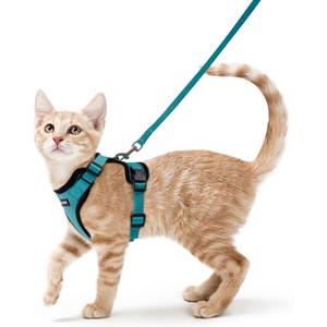rabbitgoo Cat Harness and Leash for Walking, Escape Proof Soft Adjustable Vest Harnesses for Cats, Easy Control Breathable Reflective Strips Jacket, Teal, XS