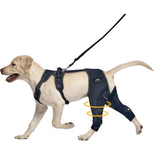Dog Knee Brace for Torn ACL Hind Leg - Keeps Joints Warm and Stable, Upgraded Adjustable Leg Support, Dogs Rear Leg Wrap Harness Set for Leg Wound Care Prevents Licking (L (fits thigh circumference: 12-13.5 in), Dark black)