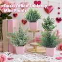 summer flower 4 Pack Small Fake Plants in Pink Pot Artificial Plant Indoor Eucalyptus Wheat Grass Ferns Rosemary Faux Greenery for Room Decor Home Office Desk Bathroom Kitchen Living Room Decorations