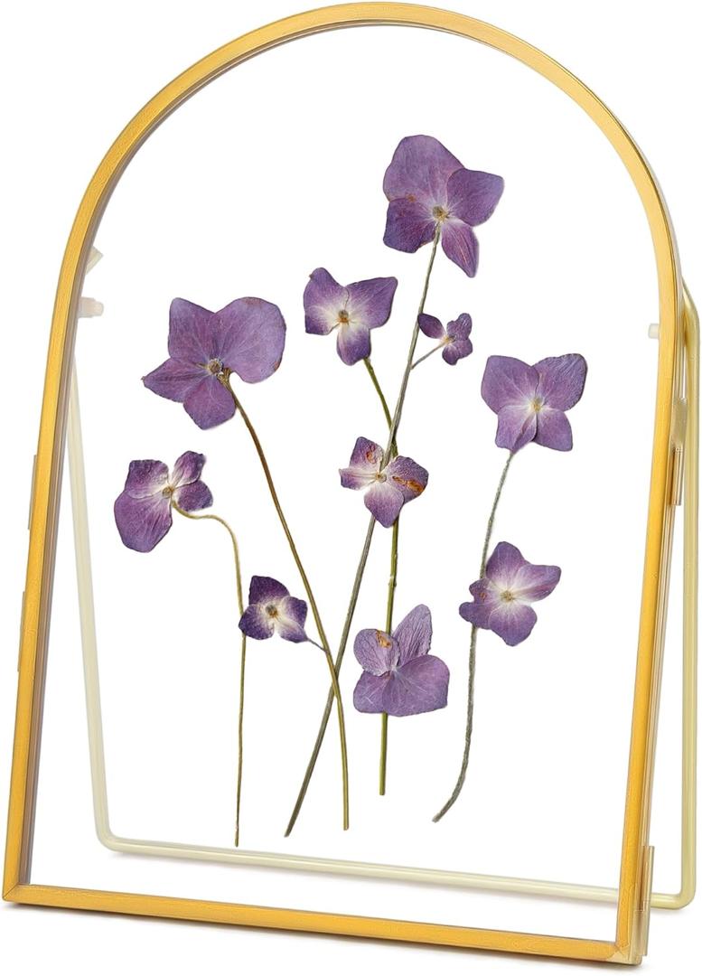 Double Glass Frame for Pressed Flowers Handmade, Metal Floating Picture Frame for Pressed Flower, Tabletop Display, Brass, ArcShaped, Gold, 5x7 inches (FRAME ONLY) (5L" x 7W")