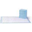 Basics Dog and Puppy Pee Pads, 5Layer LeakProof Super Absorbent, QuickDry Surface, Potty Training, Regular (22x22"), 100 Count, Blue & White
