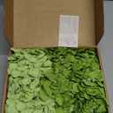 Cherica Hydrangea Artificial Flowers, 20 Pcs Green Hydrangea Artificial Flowers Bulk, Faux Hydrangea Flowers for Outdoor, Fake Silk Hydrangea Flowers with Stems for Wedding Decoration Decor