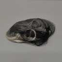 CJL HAIR Claw Clip Short Ponytail Hair Extensions DIY Bendable Metals Messy Bun Hair Piece for Wonen Wavy Curly Synthetic Fake Hairpieces Salt and Pepper