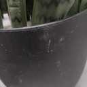 3ft Artificial Snake Plant  36in Faux Sansevieria Plants, Fake Floor Plant for Indoor Outdoor, Front Porch Patio Home Office Decor, Mother-in-Laws Tongue, Green 1Pcs