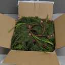 6 Pcs 9 Inch Christmas Wreaths for Kitchen Cabinet Artificial Norfolk Pine Hanging Wreath with Red Berry Pine Needles for Front Door Xmas Snowy Swags Wreaths for Christmas Winter Farmhouse Home Decor