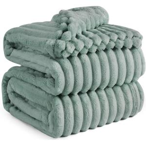 Bedsure Blankets Queen Size for Bed - GentleSoft Cozy Soft Blankets for Women, Cute Large Fleece Throws for Girls, Sage Green, 90x90 Inches