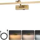 Wireless Picture Lights for Wall Battery Operated, Brass Art Lighting for Paintings Rechargeable Gallery lights with Remote and Timer 3CCT Dimmable Painting Lights for Artwork Portrait 23.6 inch