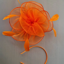 New Orange Fascinator Hatinator With Clip Headband
