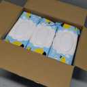 Molly's Suds Sensitive Clean Baby Wipes | 99% Water, Plant-Based, Fragrance Free | 576 Total Wipes (9 Flip-Top Packs)