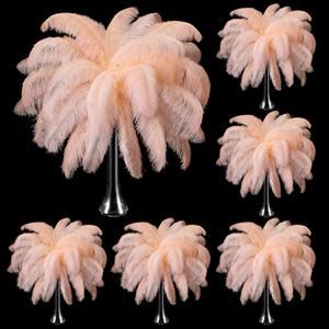 Berlune 150 Pcs Natural Ostrich Feathers Bulk 12-14 Inch (30-35 Cm) Ostrich Feathers Plumes for DIY Crafts Wedding Party Centerpieces Party Decorations(Champagne) Berlune 150 Pcs Natural Ostrich Feathers Bulk 12-14 Inch (30-35 Cm) Ostrich Feathers Plumes for DIY Crafts Wedding Party Centerpieces Party Decorations(Champagne)