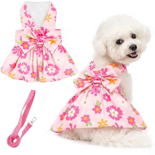 BAOBICUTE Dog Dress Harness Dresses Leash Set for Small Dogs Cute Girl Dog Clothes with Bowknot Puppy Outfits for Shih Tzu Yorkies Chihuahua, XXL