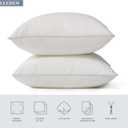 Leeden 22 x 22 Pillow Inserts (Set of 2) - Throw Pillow Inserts with 100% Cotton Cover - 22 Inch Square Decorative Pillows for Sofa, Couch, Bed and Home Decor