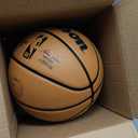 Wilson NBA Authentic Series Outdoor Basketballs (Size 7 - 29.5")