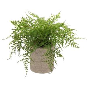 Briful Small Fake Plant Potted Plants Artificial Decor Plastic Asparagus Ferns Plant Faux Plants in Pots for Home Living Room Bedroom Desk Shelf Farmhouse Decoration (Color #03)