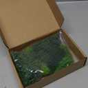 36 Pieces 1.36-6 inch Mixed Model Trees Train Scenery Architecture Tree Fake Trees for DIY Crafts, Building Model, Scenery Landscape Natural Green