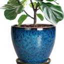 10 Inch Ceramic Planter Pot Round Plant Pot for Indoor Plants Outdoor Large Flower Pot with Drainage Hole and Saucer Blue
