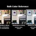 C35 4W LED Filament Bulb, Dimmable, Bright Cool White Light Color 6000K, E26 Medium Base, Frosted Glass Cover, 40W Incandescent Bulb Equivalent, Flame Tip, 3 Count