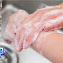 Safeguard 14 bars 4 ounce (113 gram) each beige washes away bacteria antibacterial soap bar bar soap