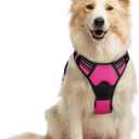 rabbitgoo Dog Harness No Pull with 2 Leash Clips, Adjustable Soft Padded, Reflective Oxford No Choke Pet Vest with Easy Control Handle for Medium Sized Dogs, Hot Pink, M