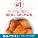 Purina ONE Natural Dry Cat Food, Tender Selects Blend With Real Salmon - 7 lb. Bag (EXP 02/01/27)