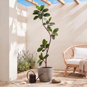 6 FT Artificial Plants Rubber Tree, Tall Fake Plant Indoor with Black Pot Large Faux Standing Fiddle Leaf Fig Floor Tree for Home Office Living Room Floor Patio Housewarming Decor