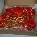 Lyrow 24 Pcs Galaxy Rose LED Light up Rose Flower Gifts Crystal Artificial Rainbow Flower for Mom Her Lover Girlfriend Mother's Day Wedding Birthday Gift, 9.84 Inches (Red)