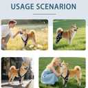Dog Knee Brace for Torn ACL, CCL Hind/Back Leg Support with Harness & Anti-Slip Straps Adjustable Fit, Soft & Breathable, Post Surgery & Injury Recovery Hand Washable, M