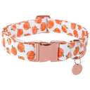 UP URARA PUP Halloween Dog Collar with Metal Buckle Gift Fall Dog Collar for Small Medium Large Girls or Boys Dogs Cute Pumpkin Cotton Pet Collars 4 pack