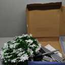 5 FT Pop Up Christmas Tree with Timer Lights and Decorations, Green Tinsel Artificial Christmas Tree with 24 Balls Ornaments, Collapsible Pencil Tree for Xmas Home Office Party Decor