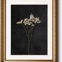 ARPEOTCY Vintage Gold Framed Wall Art, Retro Dark Dried Wildflower Paintings, Canvas Prints Artwork with Antique Frame, Victorian Wall Picture Decor for Room Gallery Living Room, 13x16 inch